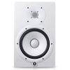 HS8I Monitor Speaker (single) with Integrated Mounting Points