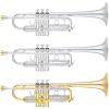 YTR-8445G Mk IV Custom Xeno C Trumpet