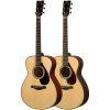 FS9 Concert Style Acoustic guitar