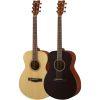 FS400 Concert Body Acoustic Guitar in Various Finishes