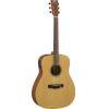 FX400 Dreadnought Electro Acoustic Guitar in Various Finishes