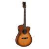 TAS-3C TransAcoustic Guitar 