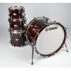 Absolute Hybrid Maple Fusion Drum Set