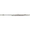 YFL-212SL Student Flute