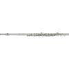 YFL-577H Flute with B Footjoint