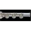 YFL-777H Flute with B Footjoint