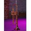 YTR-6335RC Professional Grade Bb Trumpet
