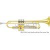 YTR-8335 Mk IV Custom Xeno Bb Trumpet