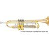 YTR-8335 Mk IV Custom Xeno Bb Trumpet