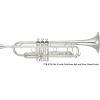 YTR-8335 Mk IV Custom Xeno Bb Trumpet
