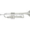 YTR-8335GS Mk IV Custom Xeno Bb Trumpet