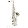 YTS-480 Bb Tenor Saxophone