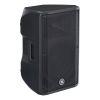 CBR12 Passive PA Speaker