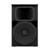 CHR15 Loudspeaker