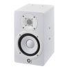 HS5I Monitor Speaker (single) with Integrated Mounting Points