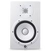 HS8I Monitor Speaker (single) with Integrated Mounting Points