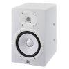 HS8I Monitor Speaker (single) with Integrated Mounting Points