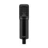 Large Diaphragm Condenser Microphone in Black