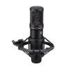 Large Diaphragm Condenser Microphone in Black