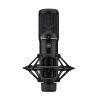 Large Diaphragm Condenser Microphone in Black