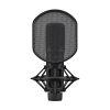Large Diaphragm Condenser Microphone in Black