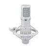 Large Diaphragm Condenser Microphone in White