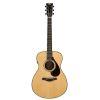 FS9 X Acoustic Guitar - Made in Japan