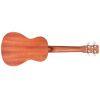 20CM Concert Ukulele