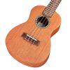 20CM Concert Ukulele