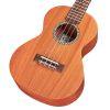 20TM Tenor Ukulele