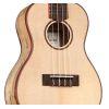 24C Spruce Concert Ukulele