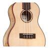 24C Spruce Concert Ukulele