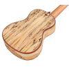 24C Spruce Concert Ukulele