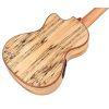 24T-Ce Spruce Tenor Ukulele