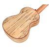 24T Spruce Tenor Ukulele