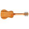 25C Concert Ukulele