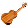 25C Concert Ukulele