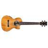 25T-CE Tenor Ukulele