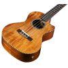 25T-CE Tenor Ukulele