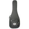 7154-00 Deluxe Acoustic Bass Guitar Case