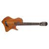 Abasi Stage 7 Acacia Acoustic Guitar