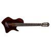 Abasi Stage 7 Ziricote Acoustic Guitar