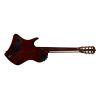 Abasi Stage 7 Ziricote Acoustic Guitar