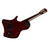 Abasi Stage 7 Ziricote Acoustic Guitar