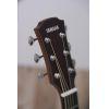 AC5M ARE Electro-Acoustic Guitar