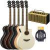 APX600 Electro-Acoustic Guitar Exclusive Package