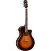APX600 Electro-Acoustic Guitar Exclusive Package