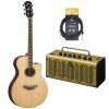 APX600 Electro-Acoustic Guitar Exclusive Package