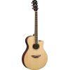 APX600 Electro-Acoustic Guitar Exclusive Package