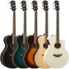 APX600 Electro-Acoustic Guitar 
